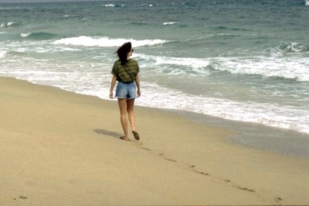 SHOREWOOD - HILTON HEAD